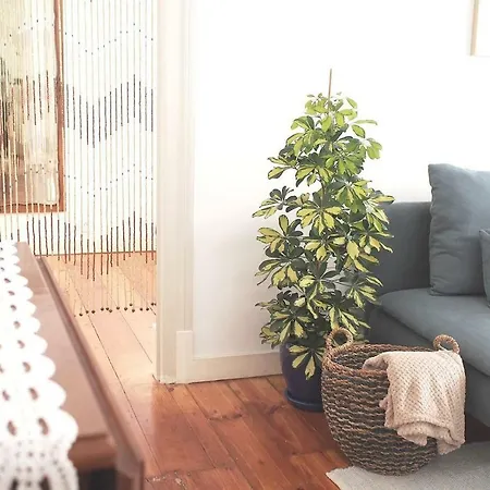 Apartment Castelinhos Flat. Bright And Cosy. *